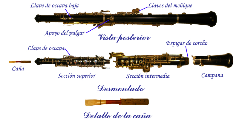 PARTES DEL OBOE CLASICO